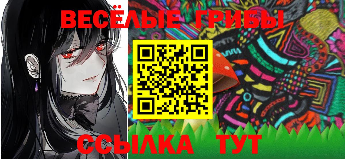 Вольск  Галлюциногенные грибы GOLDEN TEACHER  Вход с VPN 